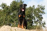 BEAUCERON 508